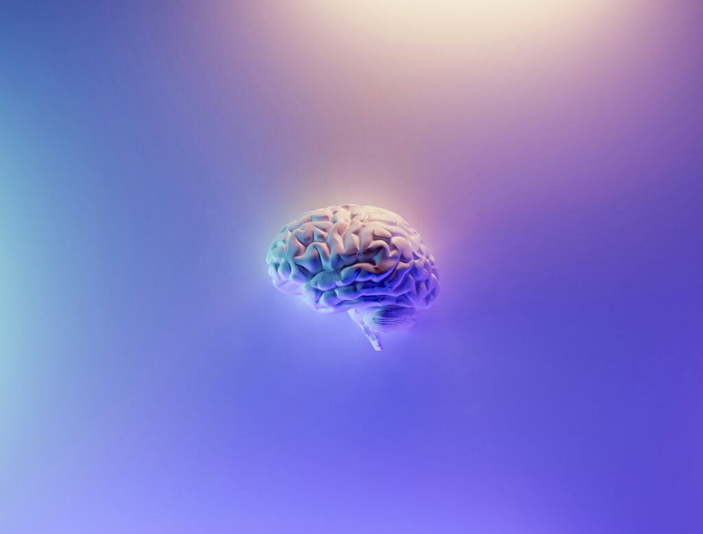 brain 20fog 1