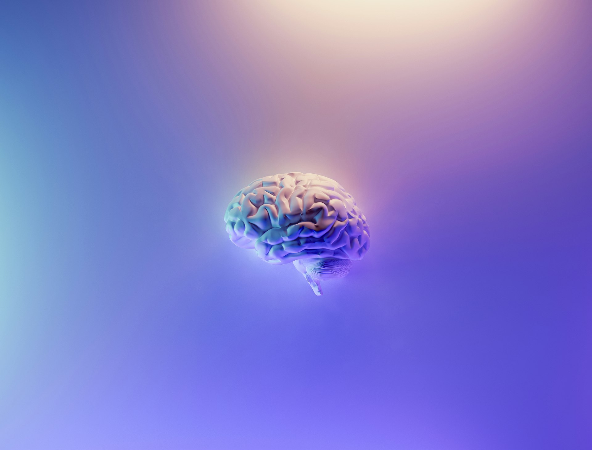 brain 20fog 1